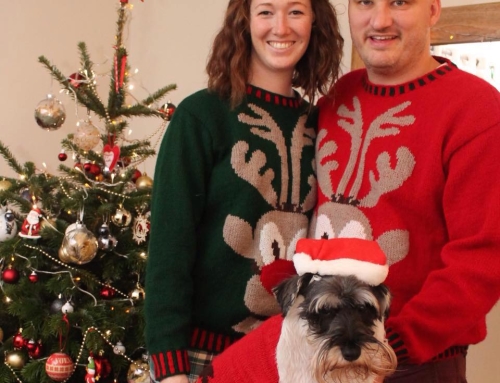 Merry Christmas & a Chalming New Year 2016!